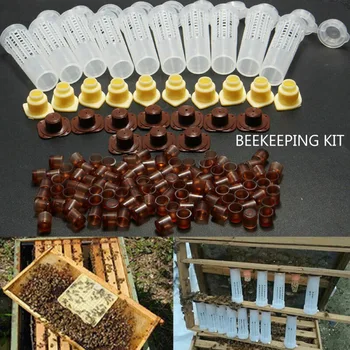 1 Nastavte Bee Nástroje Klietky Kráľ, Kráľovná Chov Cupkit Systém Včelie Včelie Catcher Poľa Bunky Poháre Klietky Nicot Kompletná Sada