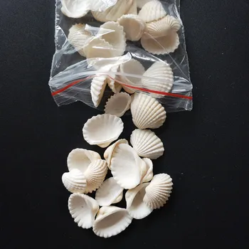 100ks/Veľa Prírodných shell diy nádrž akvárium dekorácie biela shell 1-2cm malé conch mora prírodných remesiel bielymi mušľami conch