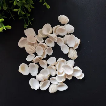 100ks/Veľa Prírodných shell diy nádrž akvárium dekorácie biela shell 1-2cm malé conch mora prírodných remesiel bielymi mušľami conch