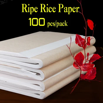100ks/veľa ryžový Papier Zrelé Xuan Kniha Kaligrafie Maliarskej Tvorby Čínska Maľba na Papier Špeciálne Malým Štetcom Písací Papier