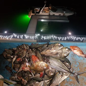 12V LED Podmorské Vŕtacie Ponorné Nočný Rybolov Svetlo Crappie Squid Loď Shad Krevety, Ryby Finder Lampa 5m Kábel