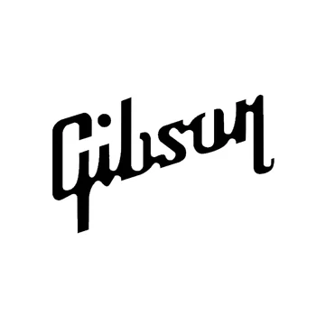 15*9 cm pre Gibson Usa Gitara KK Vinyl Odtlačkový Nálepky Les Paul na Auto Notebook Gitara Prípade Funny Auto Styling Grafika