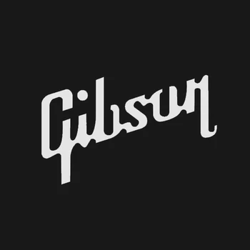 15*9 cm pre Gibson Usa Gitara KK Vinyl Odtlačkový Nálepky Les Paul na Auto Notebook Gitara Prípade Funny Auto Styling Grafika