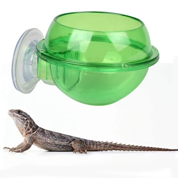 2 KS prísavky Plaz Feeder Rímsu Príslušenstvo Dodávky Priesvitné Anti-Escape Jedlo pre Chameleon Gecko Lizard