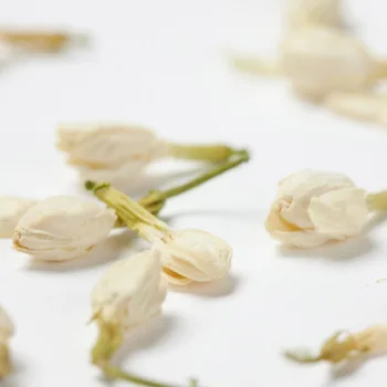 200G Jasmine Sušené kvety Bud Aromaterapia Dávke Vzduchu Osviežujúci Č platne Č misa