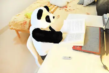 2020 Módne Dieťa Dieťa, Batoľa, Dieťa Chlapec Panda Zvierat s Kapucňou na Zips, Potápačské Bavlna Jumpsuit Oblek Kostým 0-3Y ropa de bebe