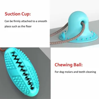 2020 Nové Pet Hračky prísavky Psa Push Hračka TPR Loptu Pet Zub Čistenie Žuvanie IQ Liečbu Hračky pre Psov Malých Psov Gumy Self-prehrávanie
