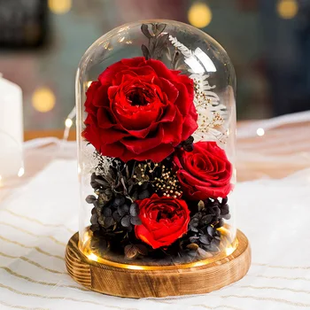 2020 Nový Vianočný darček valentín Darček Krása A Beštie Rose Večný Rose S LED Svetlom V Sklenenou Kupolou Darček k Narodeninám