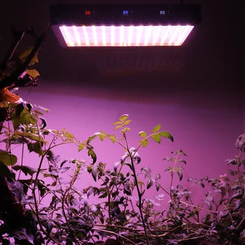 2500W LED Rásť Svetlo celé Spektrum Fitolamp Rast Rastlín Lampa na Kvety Krytý Rastú Stan Načasovanie/Color Prepínače Vysoký Výkon