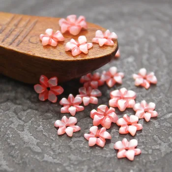 5 ks / vrece prírodných shell kvet 6 mm päť-špicaté hviezdy slivka kvet korálky šperky čo DIY náušnice vlásenky príslušenstvo šperky
