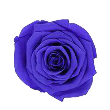 6 Sušené kvety Ruže Kvet Hlavu Večný Kvet, B-trieda, Svadby, Rodinné Dekorácie Valentína, Deň matiek darček
