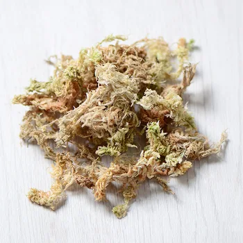 60 g,Prírodné Reálne Sušené Moss,vysoko kvalitný zelený mach Večný Rastlín pre Mini Záhrada Micro Krajiny Príslušenstvo,DIY malé črepníkové