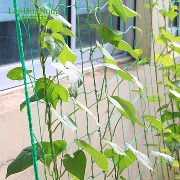 6pcs/veľa Plastové Nylon Čistého Vína Rastliny Lezenie Net Podporuje Kvet Zeleniny podberák Rám Viniča Nylon Záhrada Sieťoviny