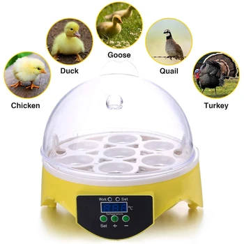 7 Vajcia, Kuracie Vták Inkubátor Násadové Vajcia Stroj Automatická Inteligentná Regulácia Teploty Prepelica Papagáj Brooder Farmy Dodávky