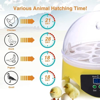 7 Vajcia, Kuracie Vták Inkubátor Násadové Vajcia Stroj Automatická Inteligentná Regulácia Teploty Prepelica Papagáj Brooder Farmy Dodávky