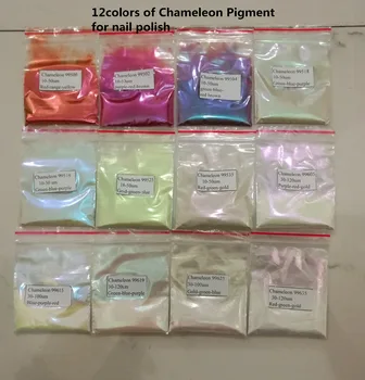 Chameleon Pigmentov pearl farba cestovné prášok 12colors 5grams každý pre kozmetiku, auto náterové farby a laky na nechty