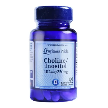 Cholín inozitol 102 mg/250 mg 100 Ks Doprava Zadarmo