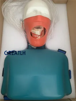 Dentálna Príprava Manikin Phantom Hlavu s Trupu Zubné Simulátory Hygieny Simulátor Stomatológia Vzdelávania Manikin