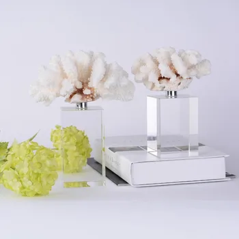 Domov Dekoratívne Moderné Crystal Remesiel Dekor Domáce Dekorácie Príslušenstvo Jednoduché Biele Coral Plastika s Krištáľovo Základy Stola