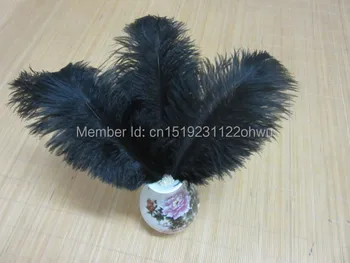 Doprava zadarmo 50pcs/veľa multicolor 20-25 cm/8-10 inch black pštrosie perie perie lacné väčšinu perie na svadbu