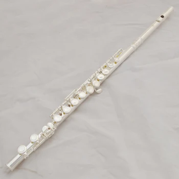 Doprava Zadarmo Flauta 471 Strieborné Pozlátené Profesionálne Flauta Nástroj Stredne Pokročilých Študentov Flauty C Nohu 16 Otvory Uzavreté E Kľúč