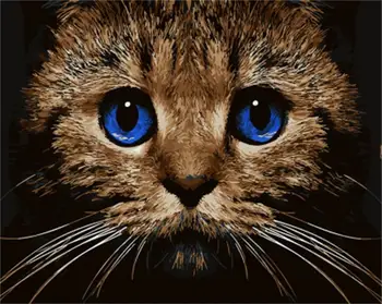 DRAWJOY Zarámované Zvierat Mačka Maľovanie & Kaligrafie DIY Maľovanie Podľa Čísel, Farebnosť Podľa Čísel Na Plátno Pre Domáce Výzdoba
