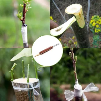 Ekonomické Záhradný Skladací Vrúbľovanie Fréza Prerezávanie Sadenicu Stromu Nožnicový Rezného Nástroja