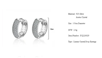 Fanqieliu Značky Štýl Luxusné Crystal Hoop Náušnice Obruče 925 Sterling Silver Šperky Pre Ženy Drahokamu Darček Šperky FQL20029