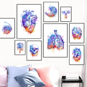 Farebné Orgán Anatómie Mozgu, Srdca, Obličiek Prsia Wall Art Plátno Na Maľovanie Nordic Plagát Na Stenu Obrázky Pre Obývacia Izba Bez Rámu
