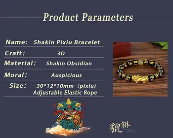 Feng Shui Pi Xiu Náramok Čierny Obsidián Bohatstvo Šperky pre Mužov, Ženy, veľa Šťastia Náhrdelník Ručne Vyrezávané Mantra Perličiek Náramok