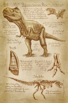 Home Decor Tyrannosaurus Rex Dinosaur-Hodváb Umenie Plagátu Na Stenu, Nálepky, Dekorácie, Darčeky