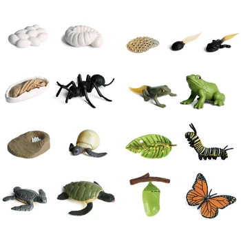 Hračky Pre Zvieratá Cyklu Rastu Životného Cyklu Modelu Nastaviť Ant Komár Kuracie Motýľ Simulačné Modely, Akčné Figúrky Učebných Materiálov