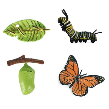 Hračky Pre Zvieratá Cyklu Rastu Životného Cyklu Modelu Nastaviť Ant Komár Kuracie Motýľ Simulačné Modely, Akčné Figúrky Učebných Materiálov