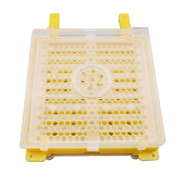 Kráľovná Chov Box Chov Auta Bee Inkubátor Včelárskych Tool Kit Kráľovná Bunky Kompletný Kráľovná Chov Auta Chove Včiel, Chov Systém