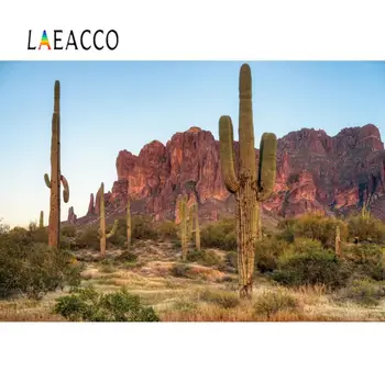 Laeacco Kaktus Púšti Ker Horskom Svahu Dieťa Prírodné Scénické Photocall Foto Pozadie Pozadie Fotografie Photo Studio