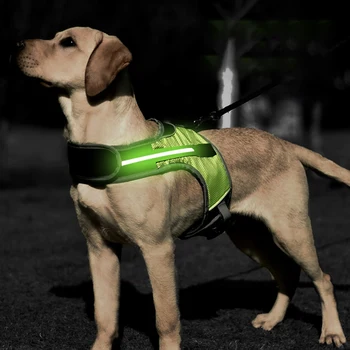 LED Psa na Postroj Svetlá Anti-Stratila Mačka Nočné Prechádzky na Vodítku Nastaviteľné Vesta Golier Šteňa Vonkajšie Chôdza Chihuahua Teddy Golier