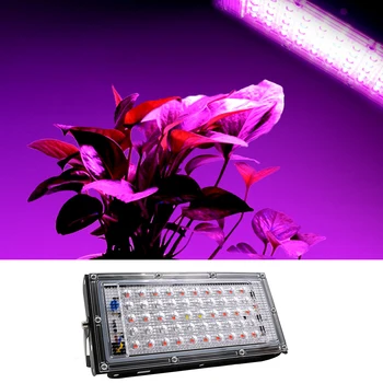 LED Rásť Svetlo AC220V 50W LED celé Spektrum Phyto Lampa Skleníkových Hydroponických Rastlín Rast Osvetlenie LED Rastlín Rastúcich Lampy