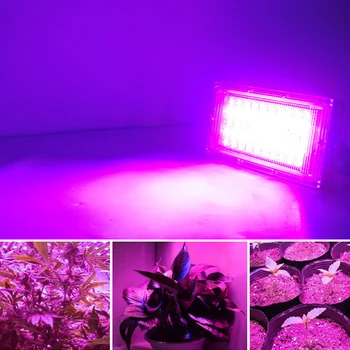 LED Rásť Svetlo AC220V 50W LED celé Spektrum Phyto Lampa Skleníkových Hydroponických Rastlín Rast Osvetlenie LED Rastlín Rastúcich Lampy