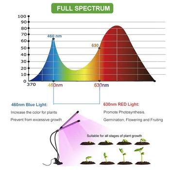 LED Rásť Svetlo фитолампа Phyto Lampa Pre zariadenia s USB Časovač celé Spektrum Časovač Rásť Svetlá Pre Šťavnaté Sadeníc Domov Kvetu Rastlín