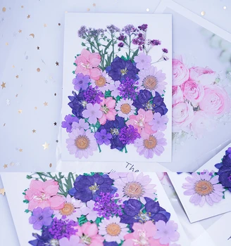 Malé Sušené Kvety Lisované Kvety DIY Konzervované Kvetinová Výzdoba Domov Mini bloemen Farebné pre Mobilné Veľkoobchod