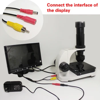 Mikrocirkulácie detektor 880 farebný lcd nailfold kapilárnej mikrocirkulácie USB Digitálny Mikroskop krvnej mikrocirkulácie (CE)