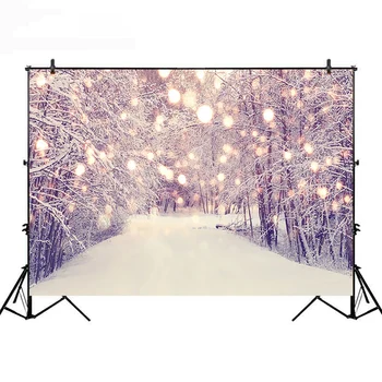 Mocsicka fotografie pozadie chirstmas krb portrét strieľať pozadí zimnom lese pozadie pre photogcall prop