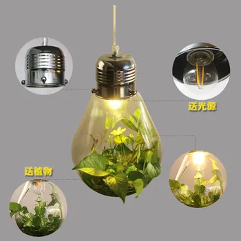 Moderné LED rastlín prívesok svetlá dreva, sklenené fľaše listry svietidlo priemyselné e27 220v dekor visí lampa led osvetlenie lampara