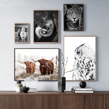 Nordic Čiernej a Bielej Jaguar Krava Roztomilý Alpaky Zvierat Škôlky Plátno Maľovaní Plagátov a vzory, Obrázky na Stenu Umenie pre Home Decor
