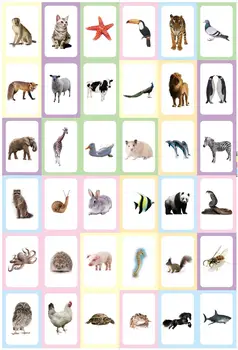 Nové 36PCS anglickej Abecedy Tvar Zvierat Farba Vzdelávania Kartičky Hračiek Montessori Vzdelávacích Hračiek pre Deti Karty, Knihy, Darčeky