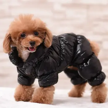 Nové Psa Oblečenie Zimné Domáce Zvieratá, Psy, Kabáty Bundy Oblečenie, Oblečenie Pre Mačky Puppy Teplá Nadol Hoodies Chihuahua Macko Lyžiarske Vesta