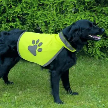 Pes Reflexná Vesta S Vysokou Viditeľnosťou Bunda Priedušná Kabát Pet Pohodlné Bezpečnosti Oblečenie Fluorescenčné Popruhy, Vonkajšie Oblečenie
