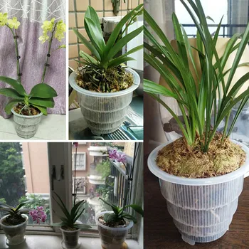 Plastové Oká, Pot Orchidea, Kvet Kvetináč Kontajner Záhradkárstvo Dekor PAK55