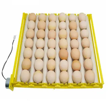 Plastové Vajcia Inkubátor Príslušenstvo Odolný Rotačný Automatické Navi Vzor Vajcia Turner Zásobník Domácnosti, Zásobník Na Vajcia