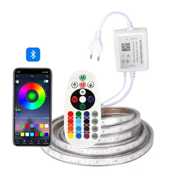 RGB LED Pásy 220V vodotesný Telefón Bluetooth APLIKÁCIU Diaľkové ovládanie Stmievateľné LED Pásy Svetla, 60 led/m 5050 pásky pásky ledstrip